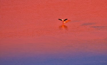 Uyuni Astro & Landscape Photography Expedition