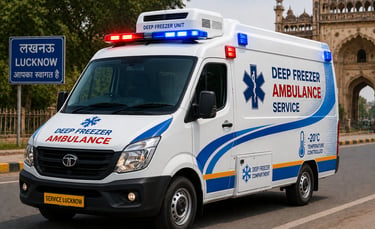 Deep Freezer Ambulance Service