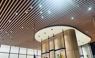 Baffle Ceiling
