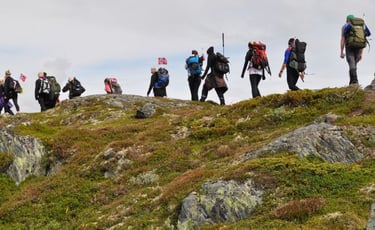 a line of hikers on mossy rock-Telelaget