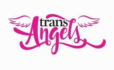 TransAngles Logo