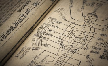 les méridiens en médecine traditionnelle chinoise