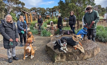 Group class of people standing around their dogs in drop