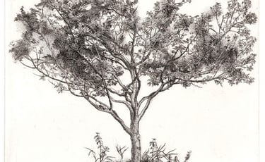 Plum Tree hand engraving Robert De Groff DeGroff 