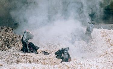 Bernarda Kovačič, Vurberški zmaj 2022, Vurberški festival, Kiparsko delo 