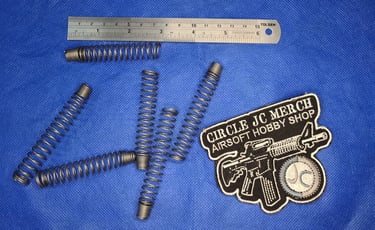 INTAKE SPRING