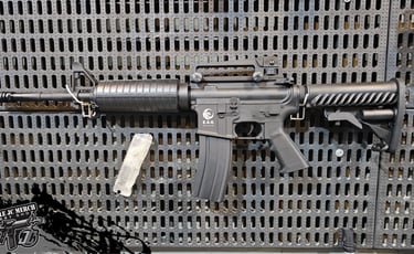 EAG301