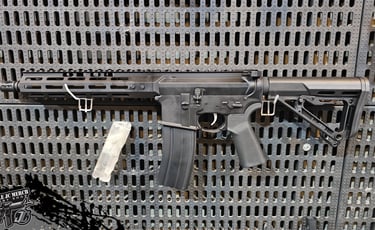 EAG NCS10B