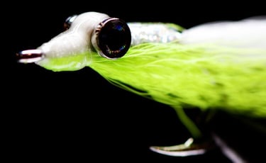 Clouser minnow for fluke
