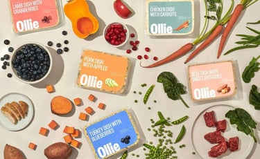 Ollie Lab and Cranberries dog food