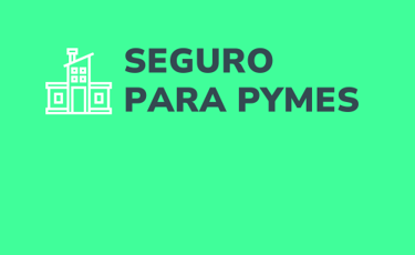 seguro-para-pymes