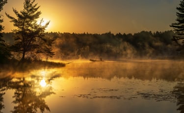 A lone canoeist on misty lake at sunrise with golden light reflecting on calm water and pine trees.