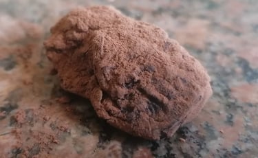 truffes enrobées de cacao