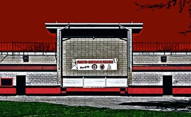 Arnold Anderson Stadium 2872