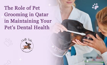 The Role of Pet Grooming in Qatar in Maintaining Your Pet's Dental Health