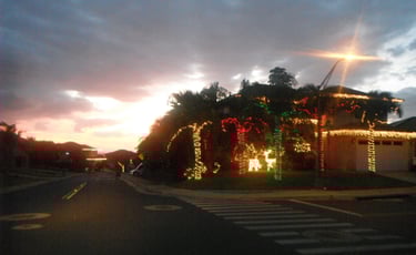 Chapin Christmas light installation and decorating