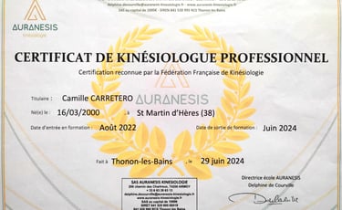 Formation de Kinésiologie auranesis
