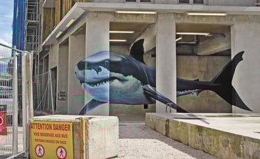 ANAMORPHOSE REQUIN
