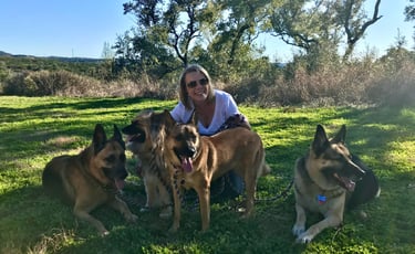 Kathy Jo Ventrano Dog Trainer and IAABC-Certified Dog Behavior Consultant