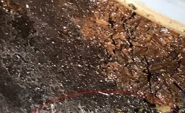 Melted electrical wiring
