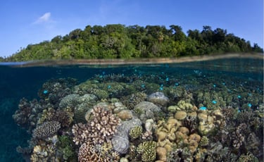 Marovo Lagoon Solomon Islands
