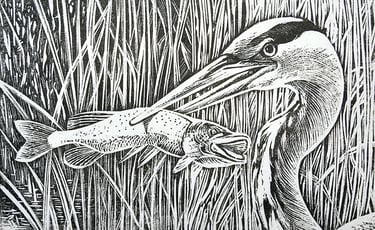 a bird with a fish in its beak 