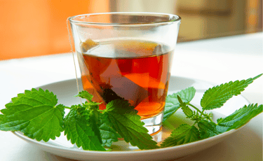 Tisane d'ortie