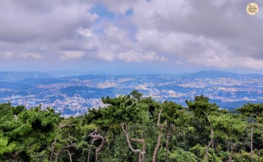 View from Shillong Peak - the city unfolds like a poem beneath the skies.
