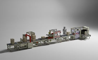 selladora automática de cartones