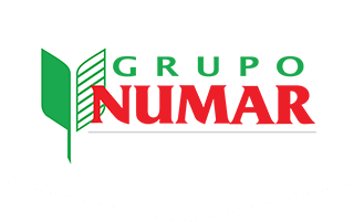 Grupo Numar