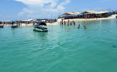 A day tour to Nakupenda Sandbank with visitors enjoying tropical views, beach activities, and live seafood cooking in Zanziba