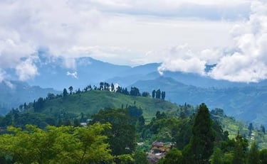 North Bengal and Sikkim tour package by Avmita Travels