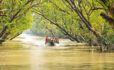 Sundarban mangrove forest wildlife tour by Avmita Travels