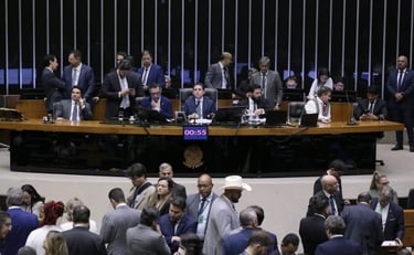 Kayo Magalhães/Câmara dos Deputados  Agência Câmara de Notícias