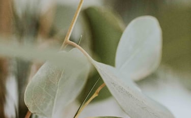 feuillages flous en tons naturels