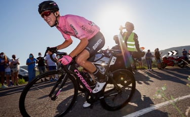 pelayo sanchez equipo gomur