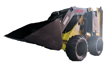 Bobcat