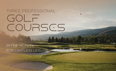 Conscient Elaira, Gurgaon