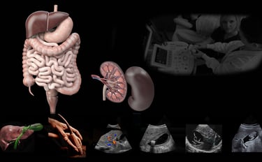 Image showing abdominal anatomy and various abdominal ultrasound scans.