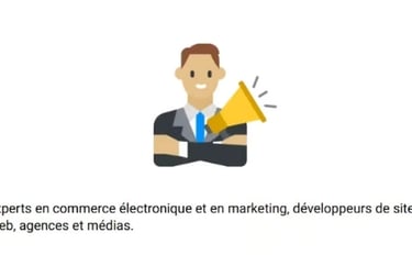 Ecommerce and marketing experts, website developers, agencies and media