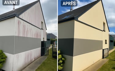 nettoyage façade 35