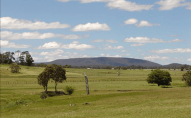 Picture of View of Mount Duval with farms in the foreground