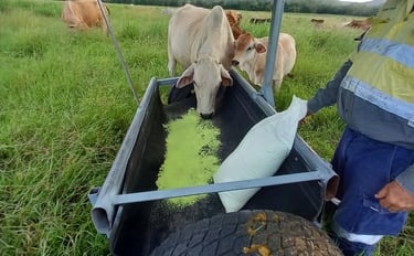 Feeder as part of a trailer.