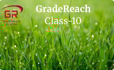 Olympiad for class 10