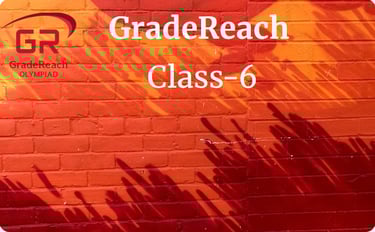 Olympiad for class 6