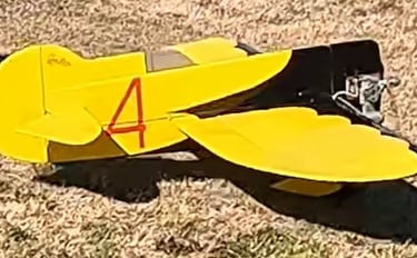 Dave S Gee Bee (Maiden)