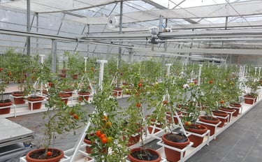 Automation Smart Agrobotic Greenhouse for Agriculture Malaysia