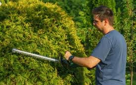 man hedge cutting a bush
