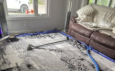 Area rug being deep cleaned with a professional steam extraction wand and hose in a living room setu