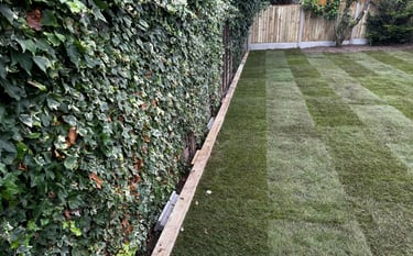 Perfectly level lawn installation in Worcester